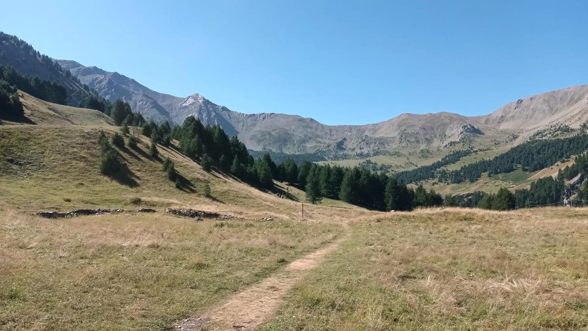 Chalet neuf au Domaine du Loup blanc Les Orres France